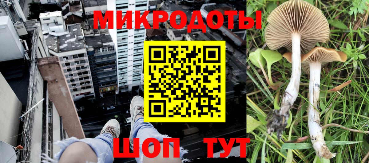 Галлюциногенные грибы прущие грибы  Вход с VPN  Новокуйбышевск  Галлюциногенные грибы Psilocybine cubensis 