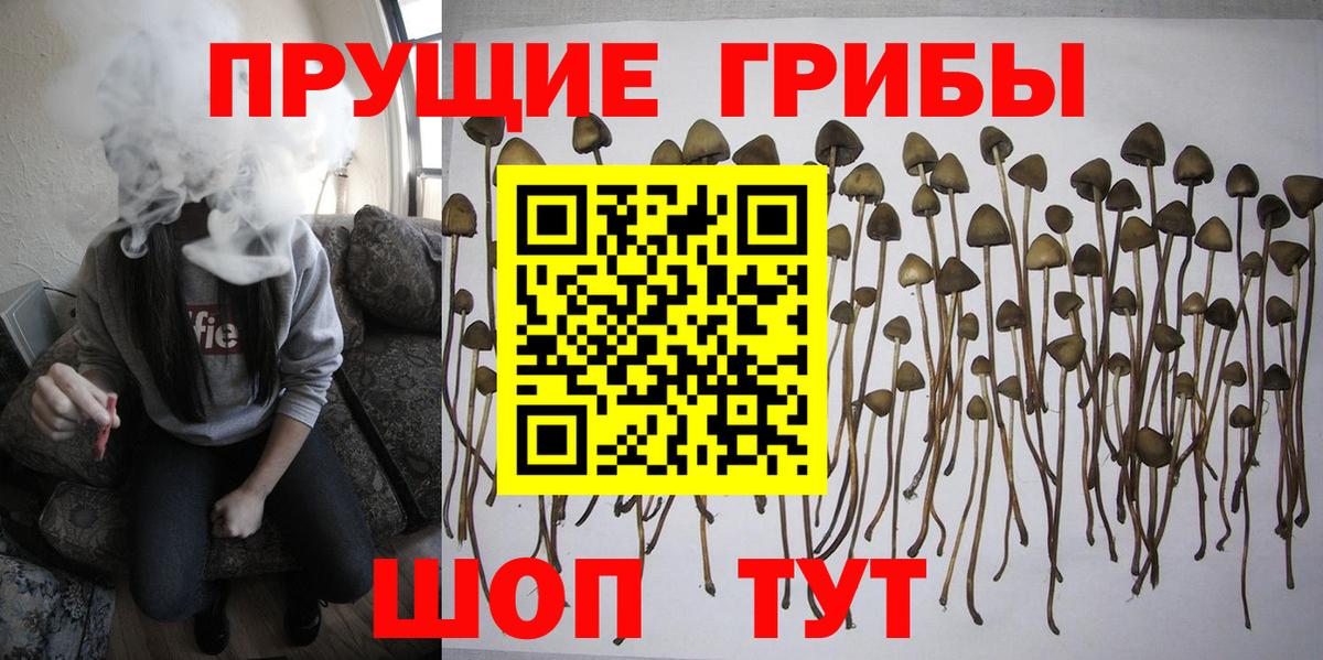 Кокаин  ГАШ  Лсд 25  Вход с VPN  Меф МЯУ МЯУ кристаллы  Новокуйбышевск  Канабис 